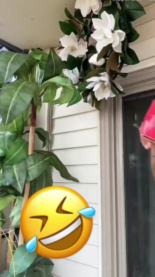 TikTok video thumbnail by nina.nin04