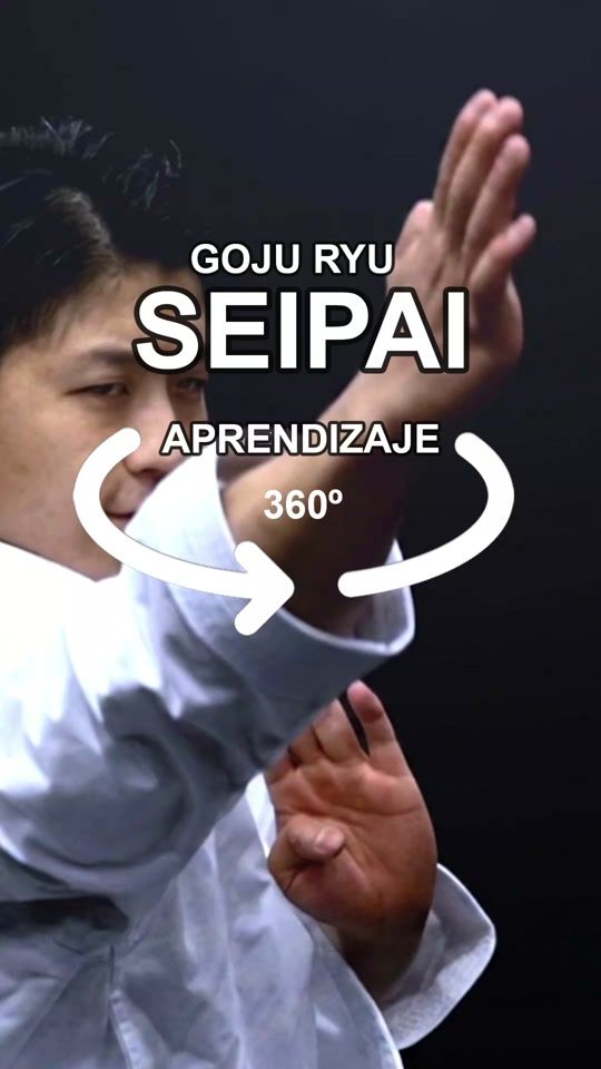 TikTok video thumbnail by karatedetodos