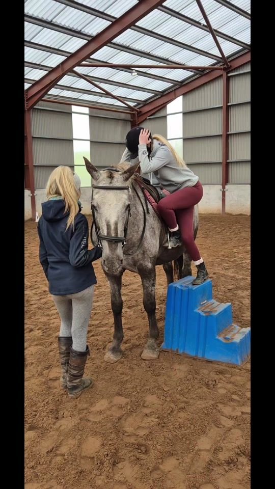 TikTok video thumbnail by mountpleasantequestrian
