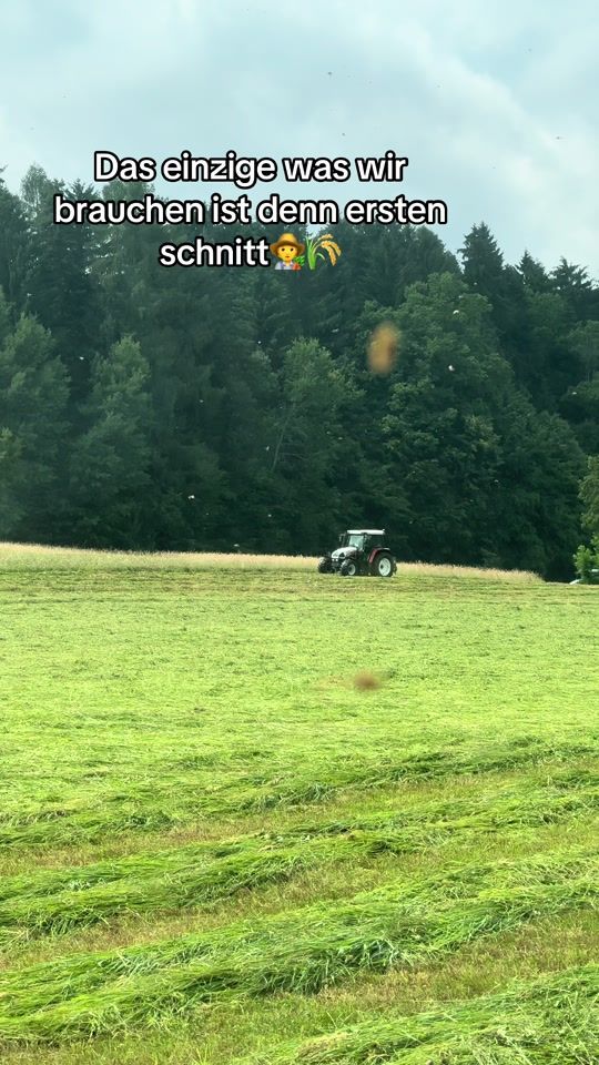 TikTok video thumbnail by lenzbauer.at