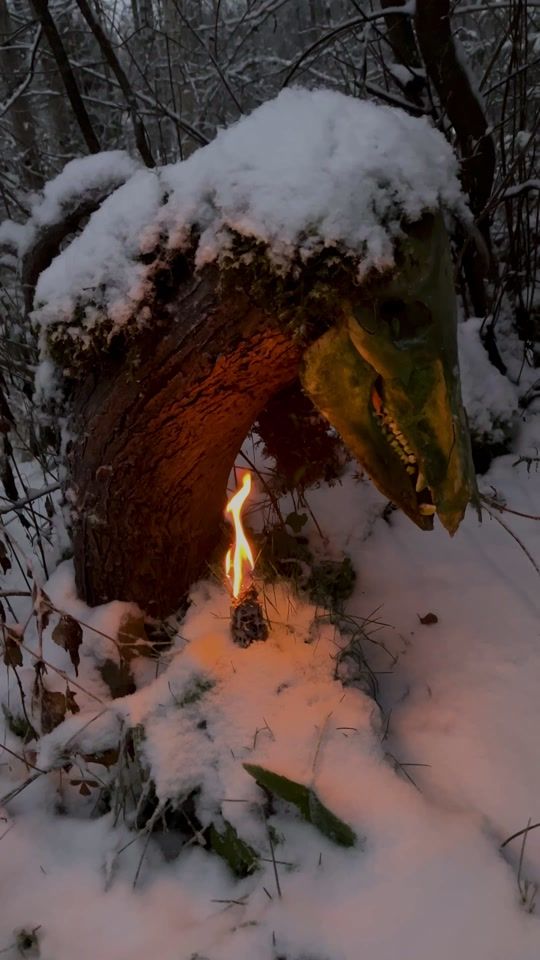 TikTok video thumbnail by from_the_woods