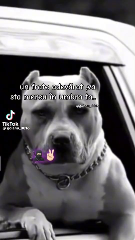 TikTok video thumbnail by _caroll_30