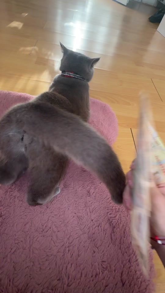 TikTok video thumbnail by alesia.officall