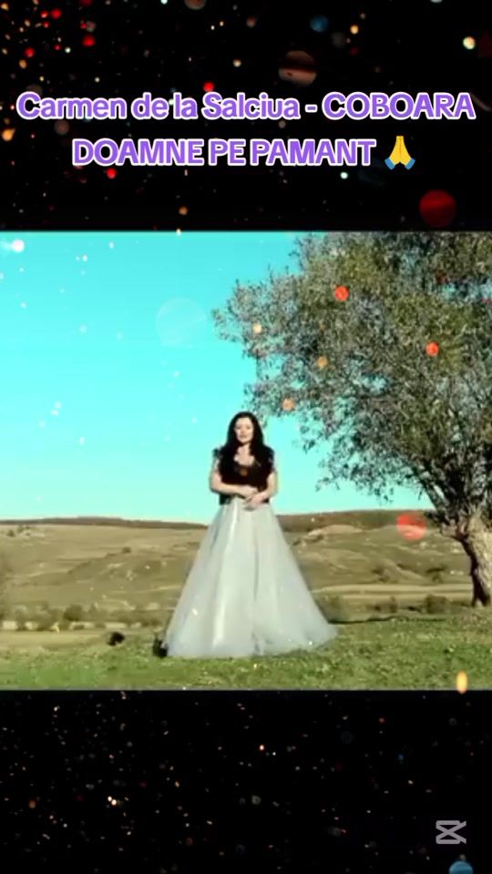 TikTok video thumbnail by carmendelasalciua_fana