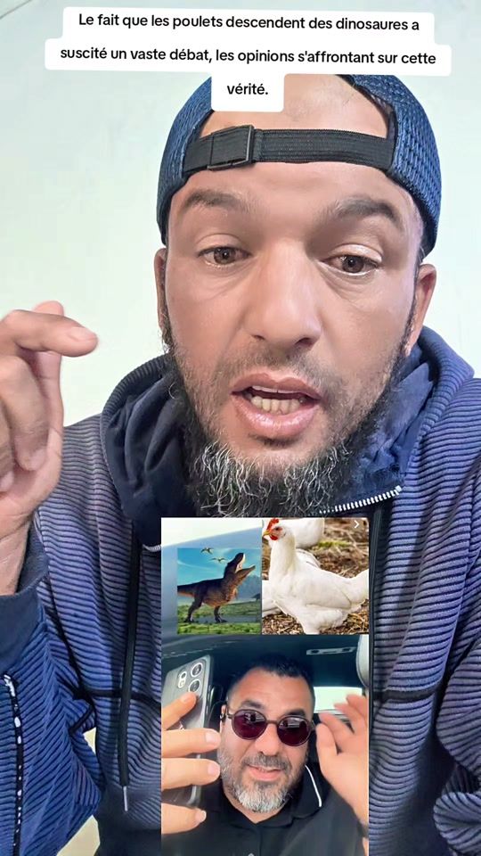 TikTok video thumbnail by bn.assila