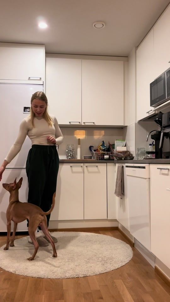 TikTok video thumbnail by hupithecirneco