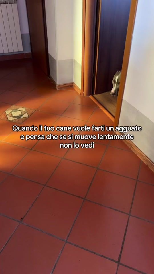 TikTok video thumbnail by giorgii_lo