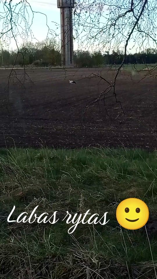 TikTok video thumbnail by nataska005