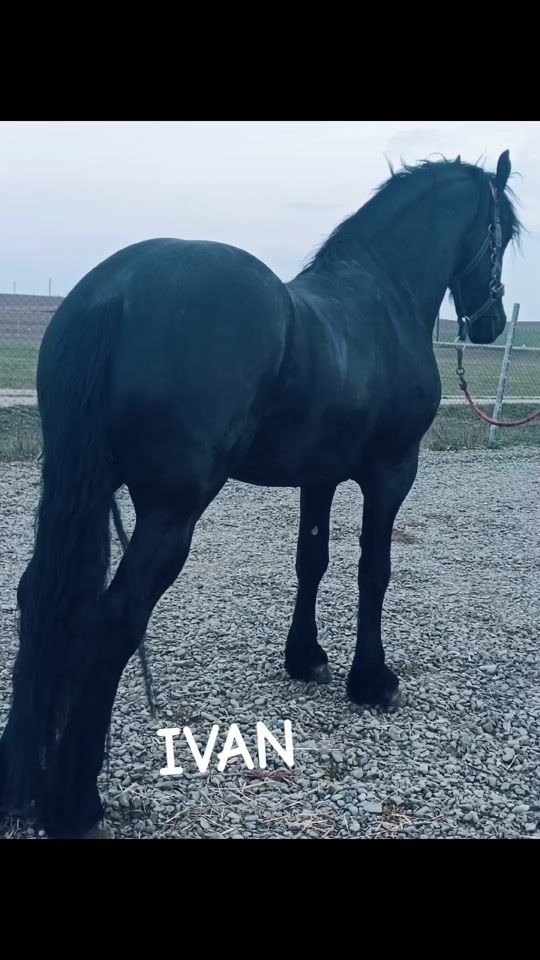 TikTok video thumbnail by smadiciionutandrei