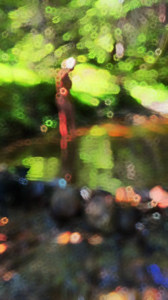 TikTok video thumbnail by kappojul