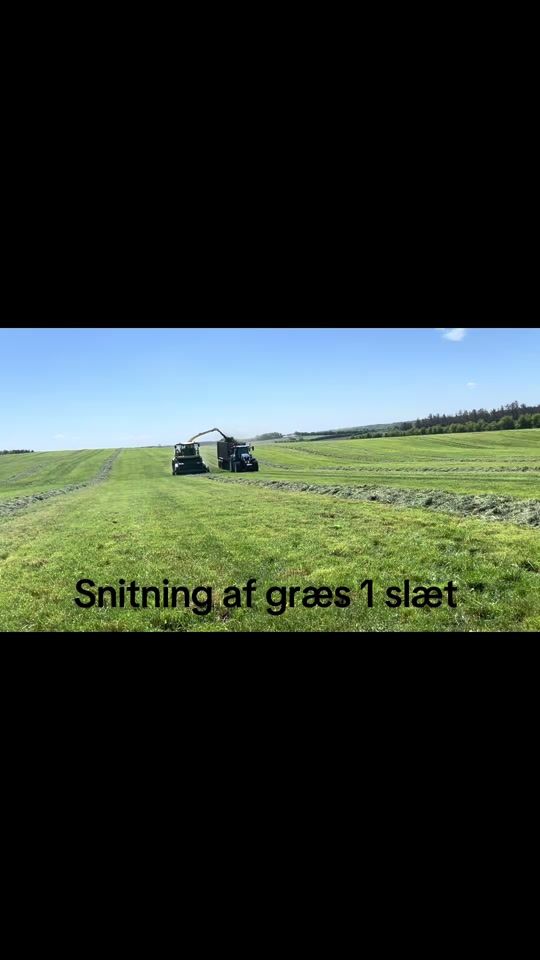 TikTok video thumbnail by christoffer045