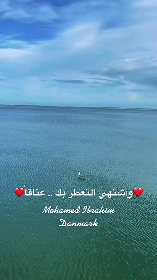 TikTok video thumbnail by moh_news