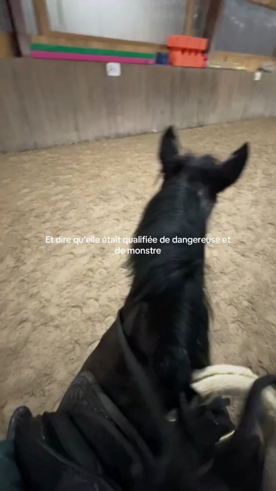 TikTok video thumbnail by fuseedelazorn