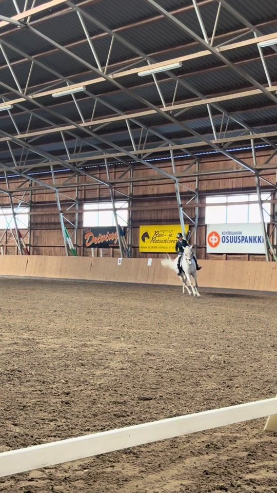 TikTok video thumbnail by equestrianinkku