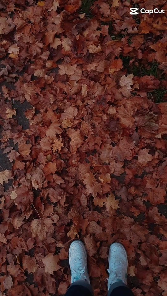 TikTok video thumbnail by jojo_sprxuche20