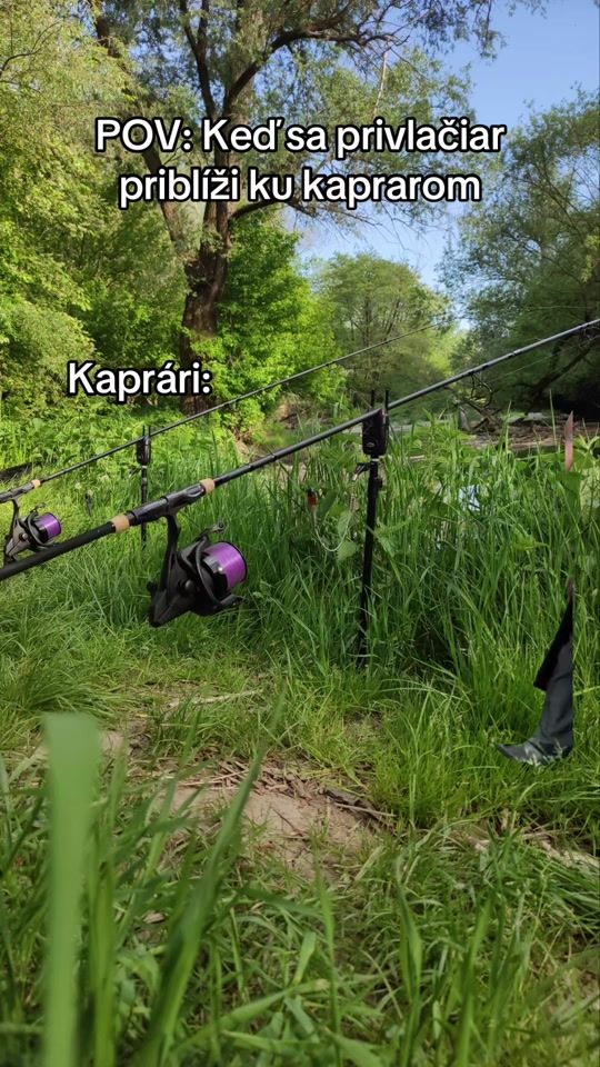 TikTok video thumbnail by angrycarp2411