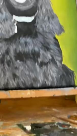 TikTok video thumbnail by nessa._art