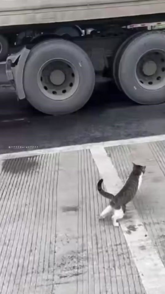 TikTok video thumbnail by helen7777helen
