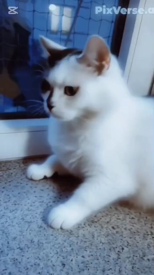 TikTok video thumbnail by ruudaxx