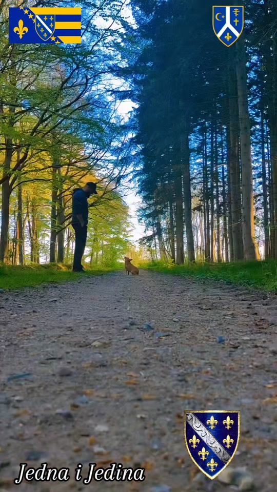 TikTok video thumbnail by bihoriginal