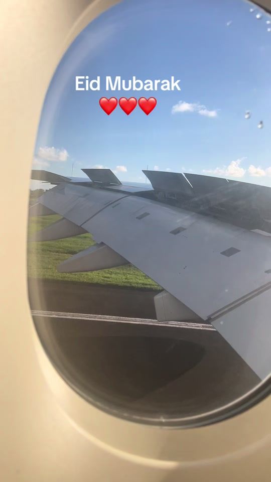 TikTok video thumbnail by mrkiwi1305