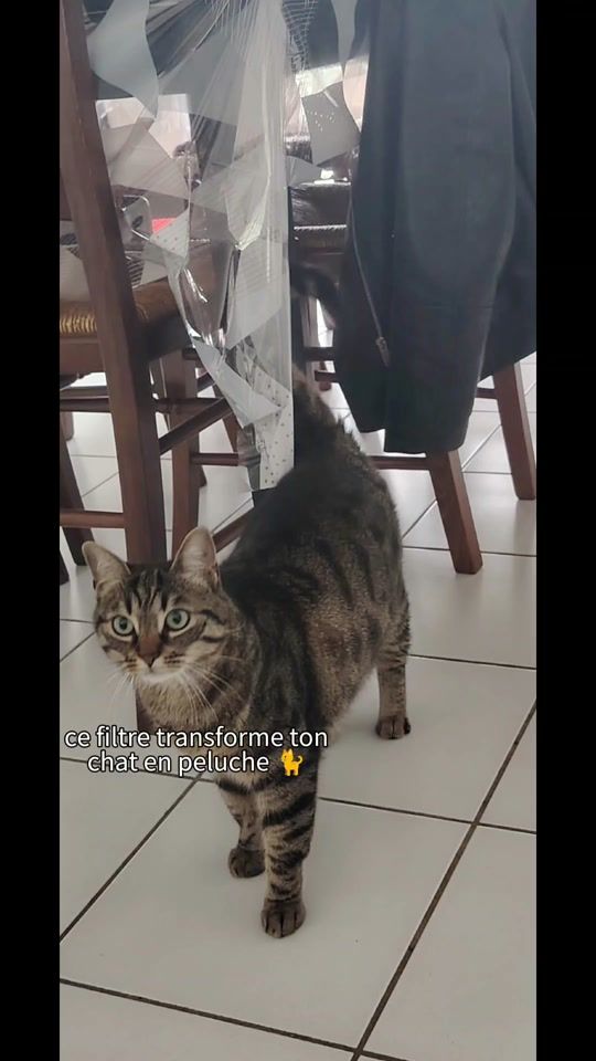 TikTok video thumbnail by estellegpl1