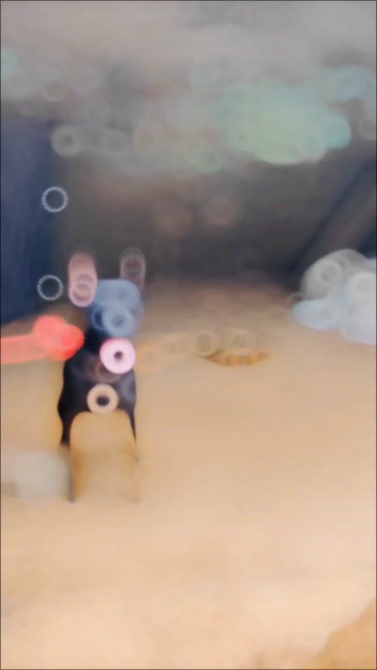TikTok video thumbnail by awan.shab666