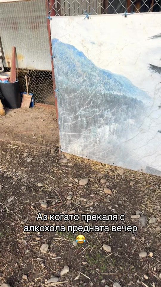 TikTok video thumbnail by ceko_georgiev