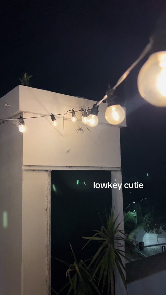 TikTok video thumbnail by sannialessia