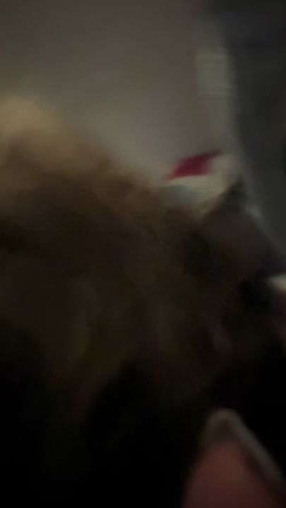 TikTok video thumbnail by lacavaleriederueil