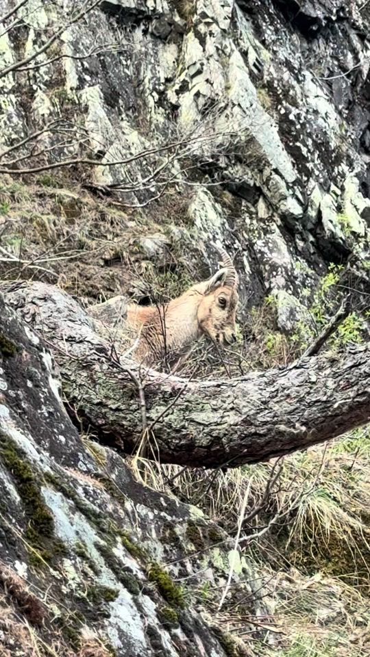 TikTok video thumbnail by hiking_valais