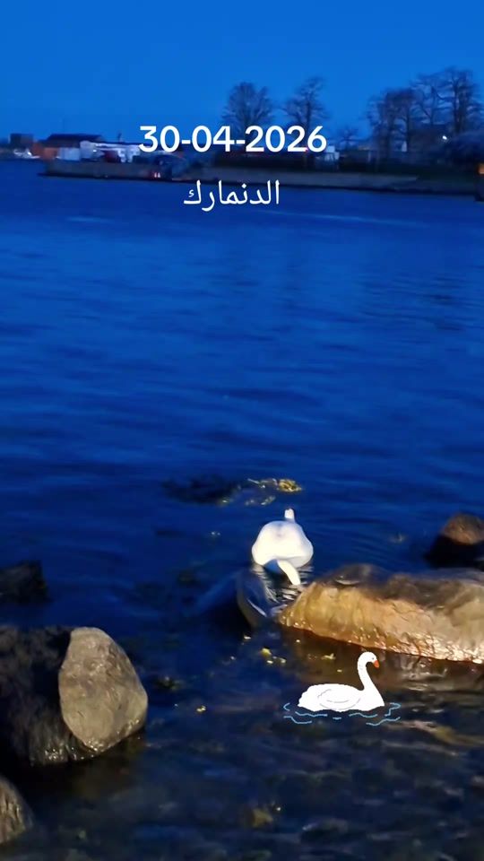 TikTok video thumbnail by msuperdk