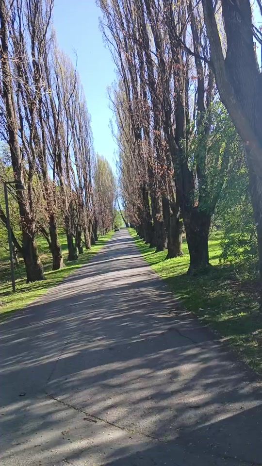 TikTok video thumbnail by t.m753