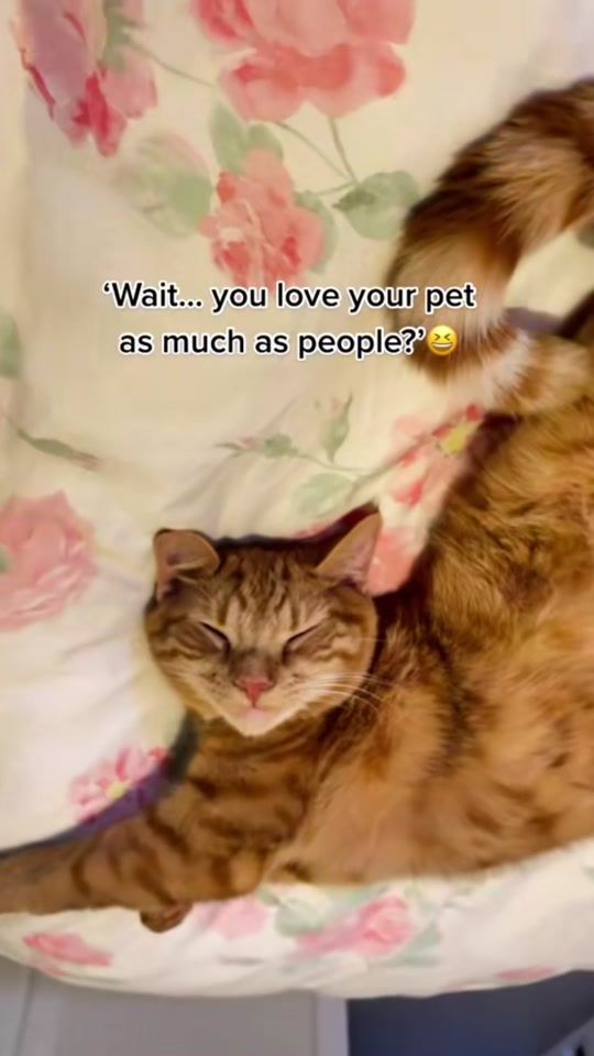 TikTok video thumbnail by roo.mercury