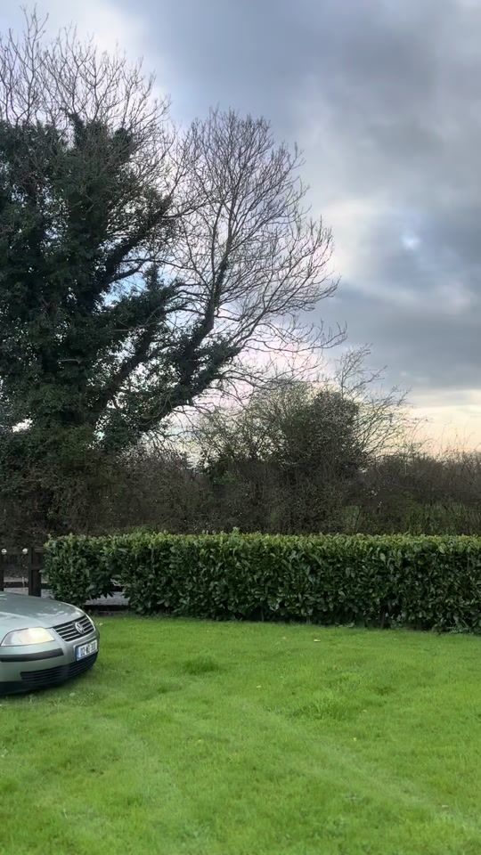 TikTok video thumbnail by daniel_meehan