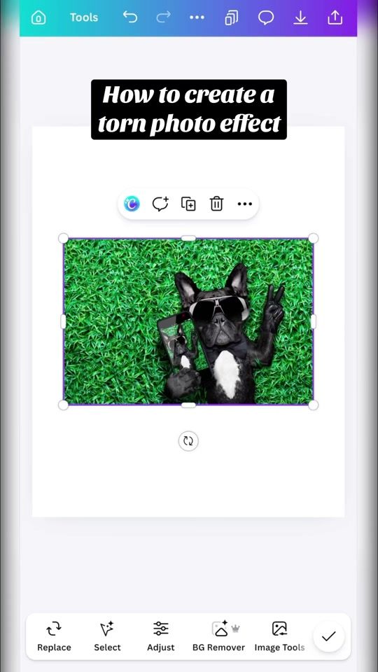 TikTok video thumbnail by designerinyourpocket