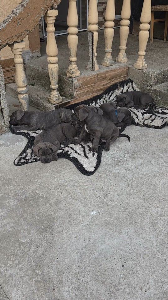 TikTok video thumbnail by user5225087128392