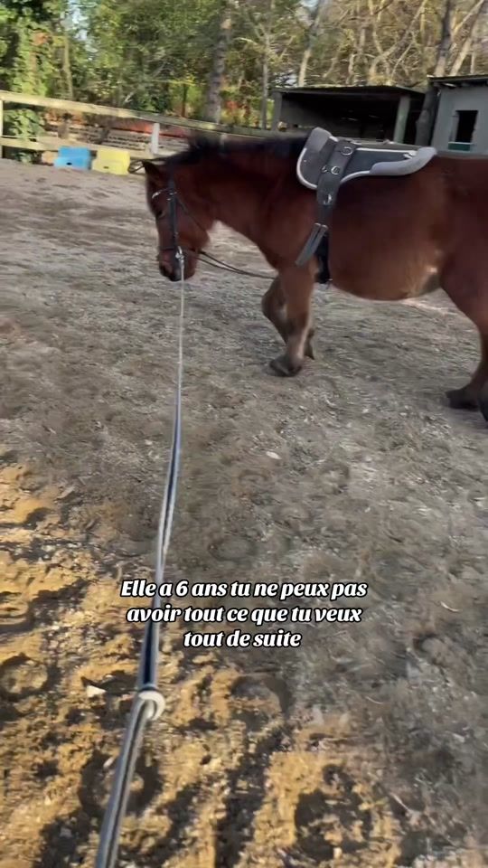 TikTok video thumbnail by romane.dlclx