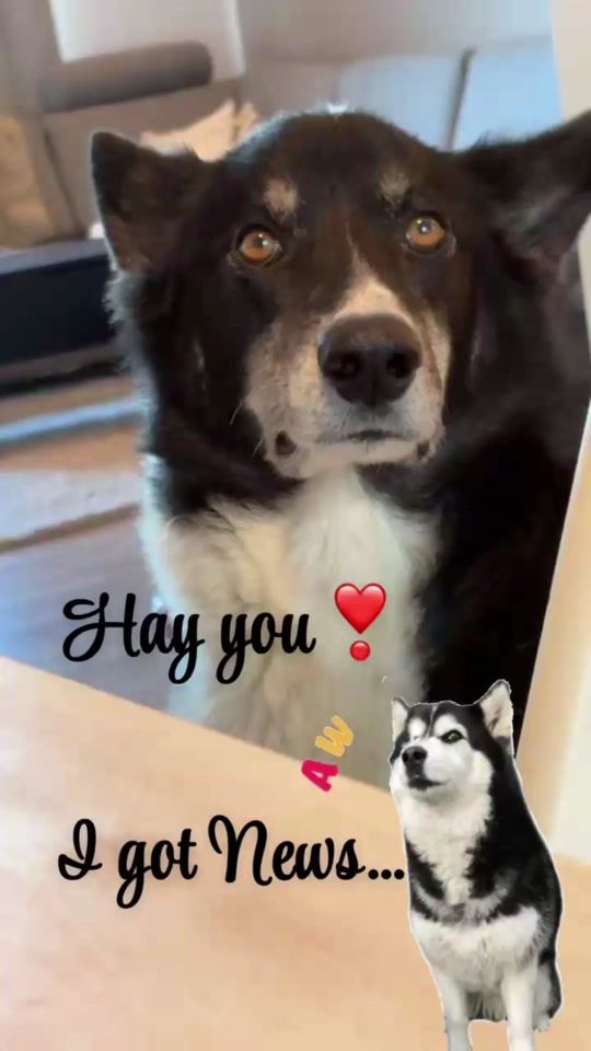 TikTok video thumbnail by luna.borghild1
