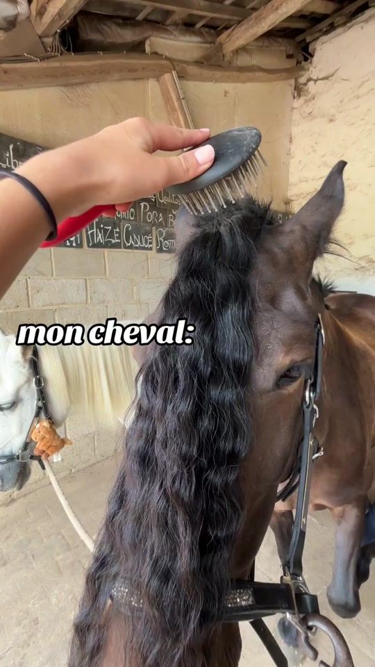 TikTok video thumbnail by une_ponette_blanche_