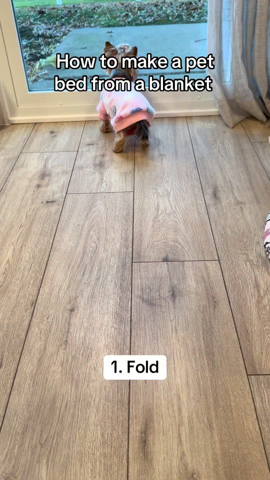 TikTok video thumbnail by ms.molly.peanut