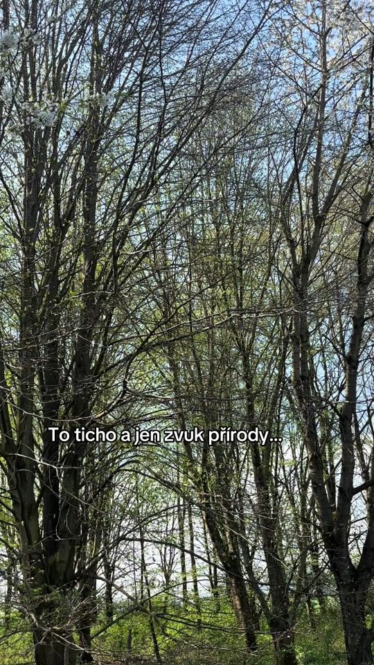 TikTok video thumbnail by wendyvranova