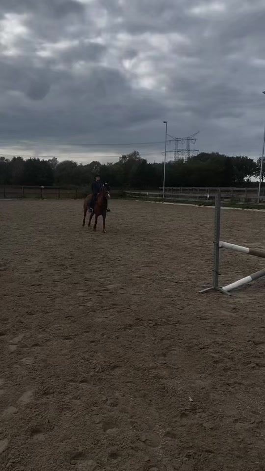 TikTok video thumbnail by equi.lucy.x