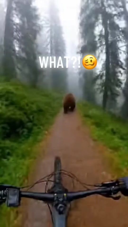 TikTok video thumbnail by velizar.nikolaev4