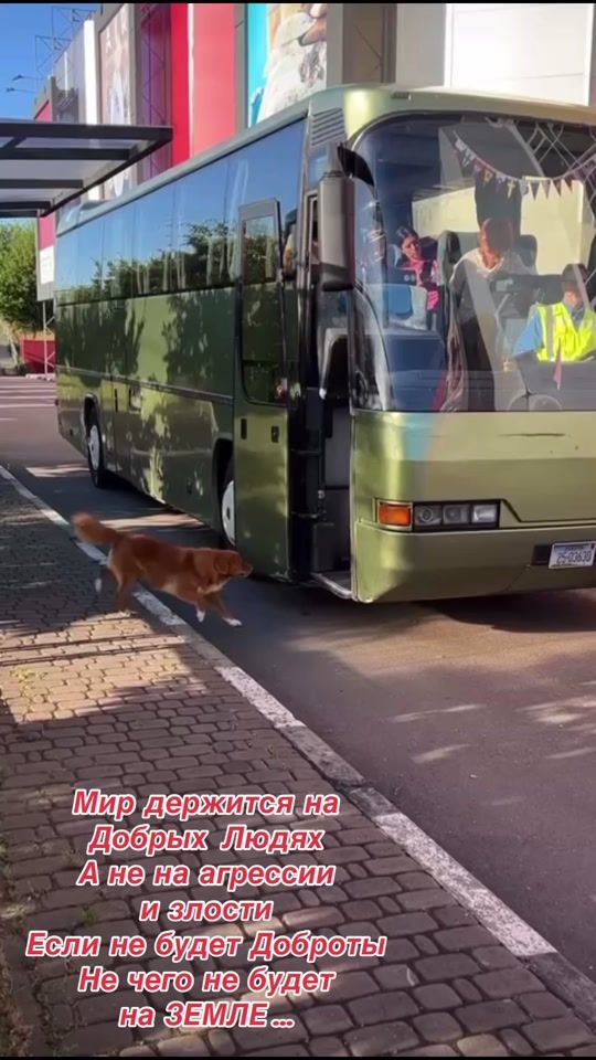 TikTok video thumbnail by ludmilagordienko8