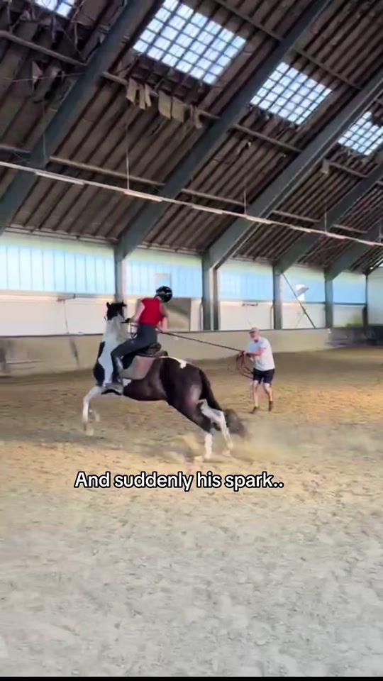 TikTok video thumbnail by spanisch.horses