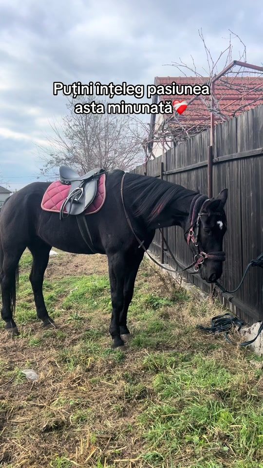TikTok video thumbnail by ridingwclau