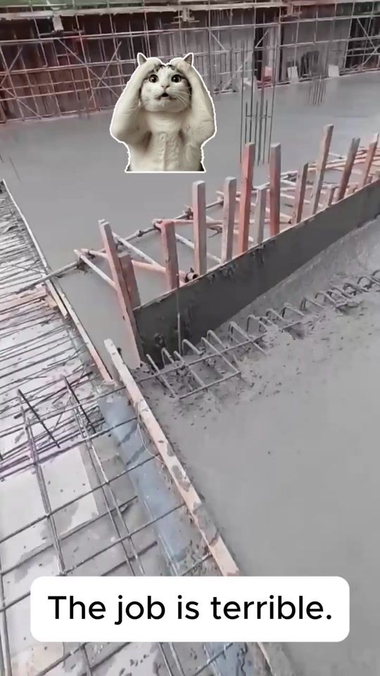 TikTok video thumbnail by chung_worker