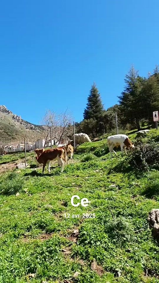 TikTok video thumbnail by barbouh.roxy