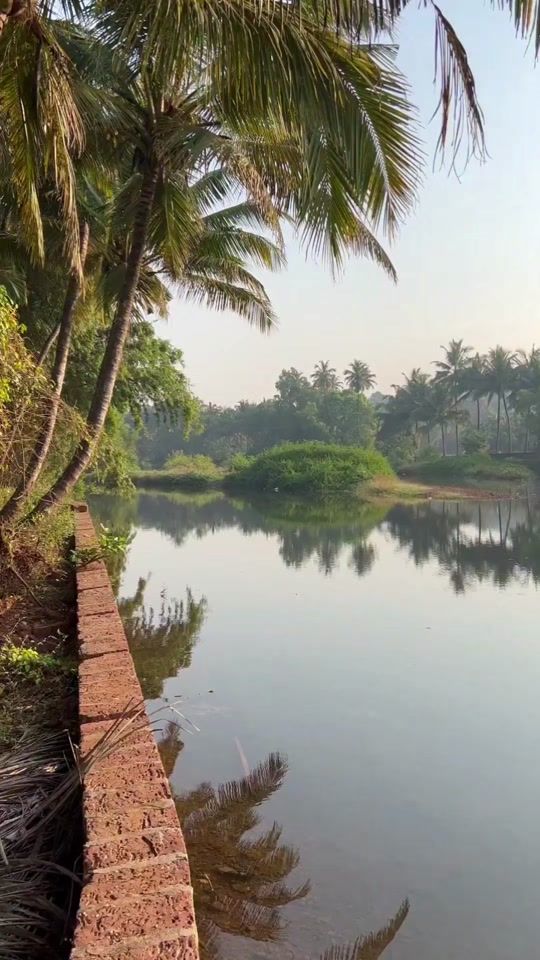 TikTok video thumbnail by mondi_mondi_